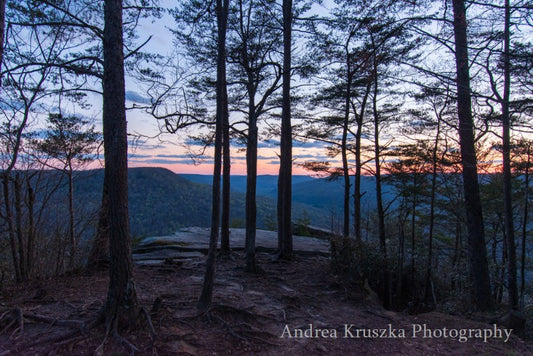 Trees at Welch Point in Sparta, Tennessee at sunset