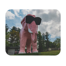 Load image into Gallery viewer, The iconic Pink Elephant statue in Cookeville Tennessee
