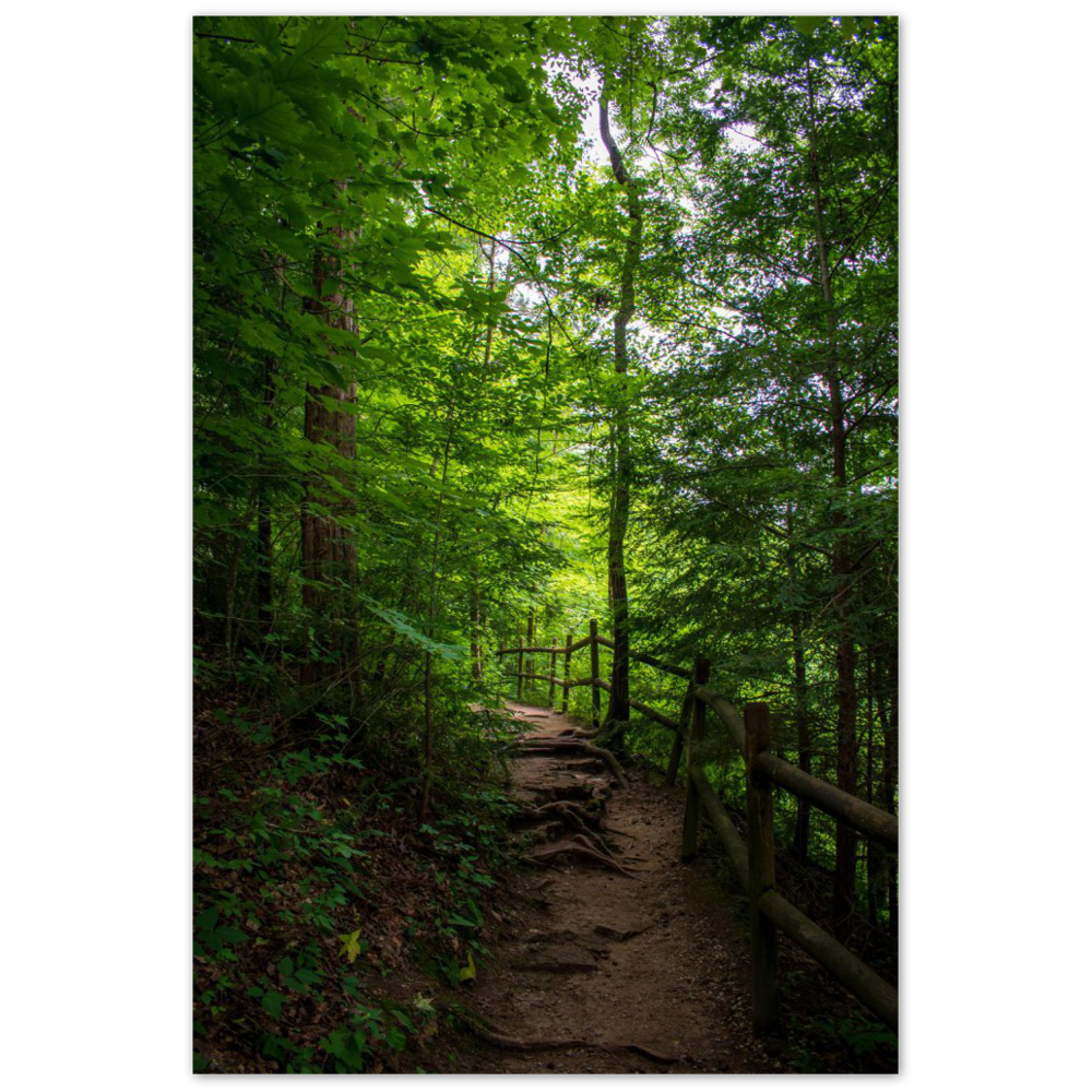 Trail at Burgess Falls State Park in Sparta, Tennessee
