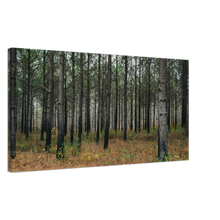 Load image into Gallery viewer, Tree Grove at Welch Point in Sparta, Tennessee

