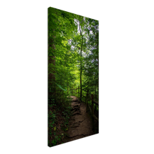 Load image into Gallery viewer, Trail at Burgess Falls State Park in Sparta, Tennessee
