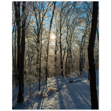 Load image into Gallery viewer, Snow-covered trees on Buck Mountain in Cookeville, Tennessee
