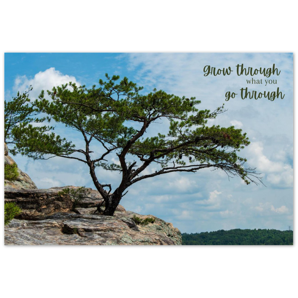 Bee Rock Overlook, Monterey, Tennessee with tree with quote "grow through what you go through"