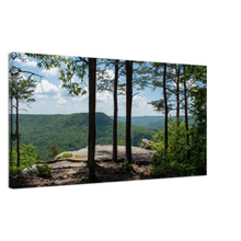 Load image into Gallery viewer, Mountain views through trees at Welch Point in Sparta, Tennessee
