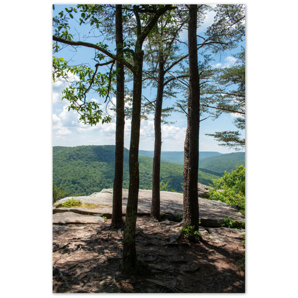Mountain views through trees at Welch Point in Sparta, Tennessee